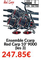 Ensemble Ccarp Red Carp 10' 9000 (les 3)