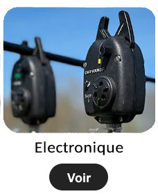 Electronique