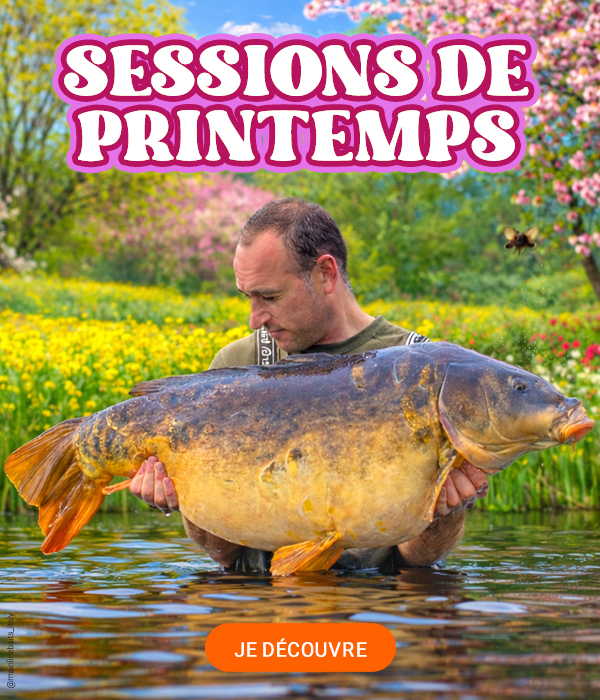 Session de Printemps