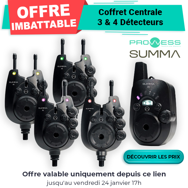 Coffret Prowess Centrale 3 Détecteurs Summa