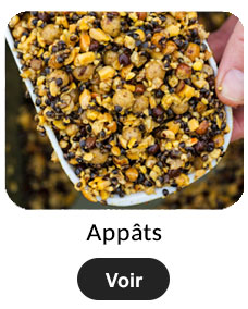 App&acirc;ts