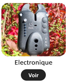 Electronique