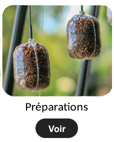 Pr&eacute;parations