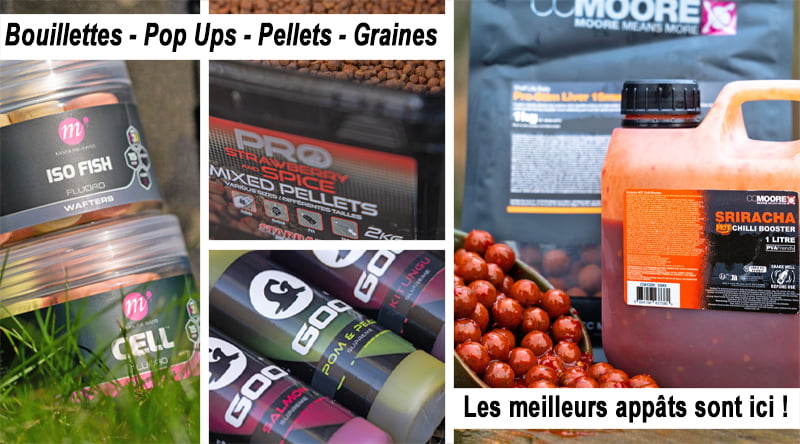 Les app&acirc;ts