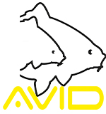 Avid