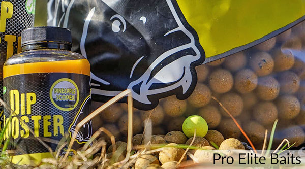 Pro Elite Baits