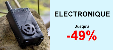 Electronique