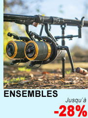 Ensembles