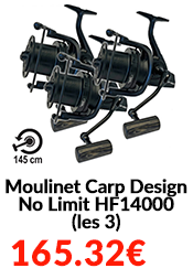Moulinet Carp Design No Limit HF14000 (les 3)