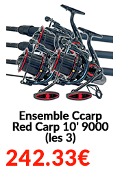 Ensemble Ccarp Red Carp 10' 9000 (les 3)