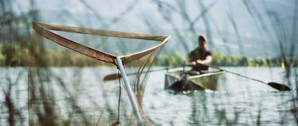 Navigation & No Kill