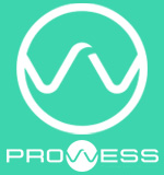 Prowess