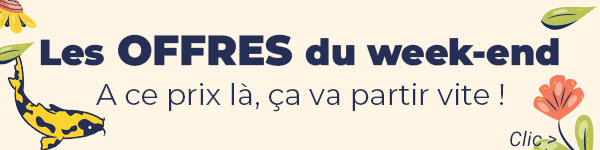 Les offres du Week-end