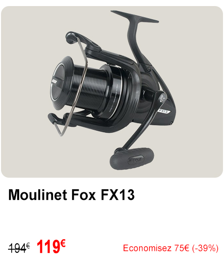 Moulinet Fox FX13